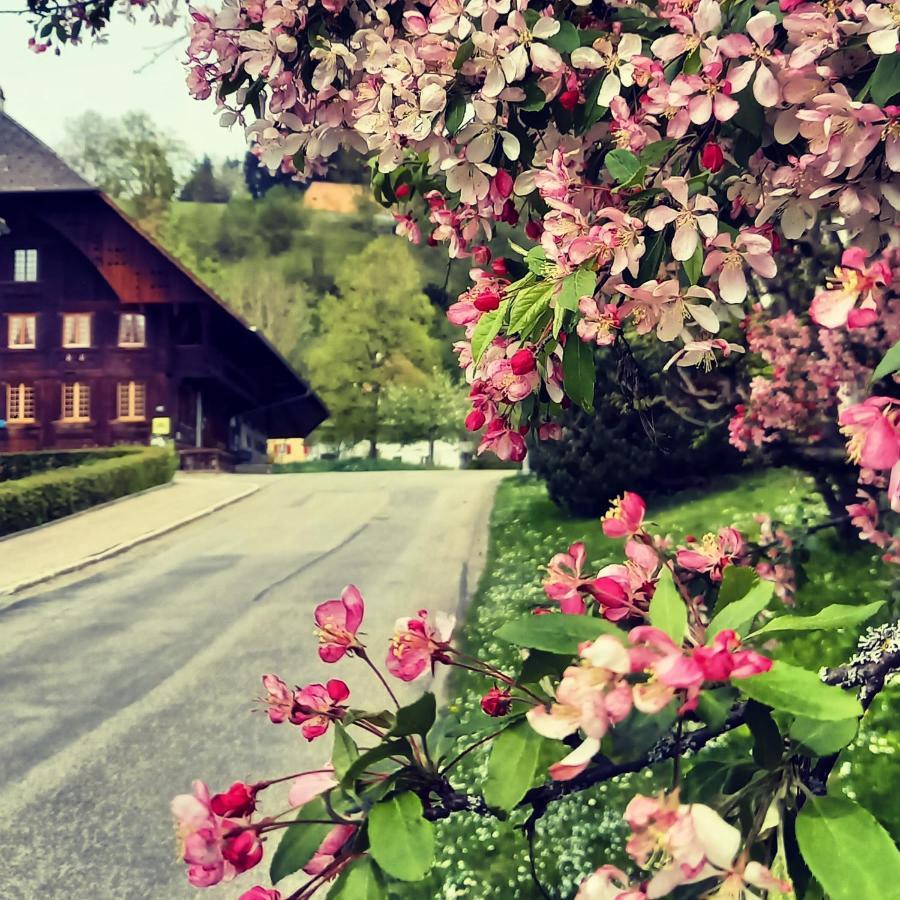 Emme Lodge Langnau Kültér fotó