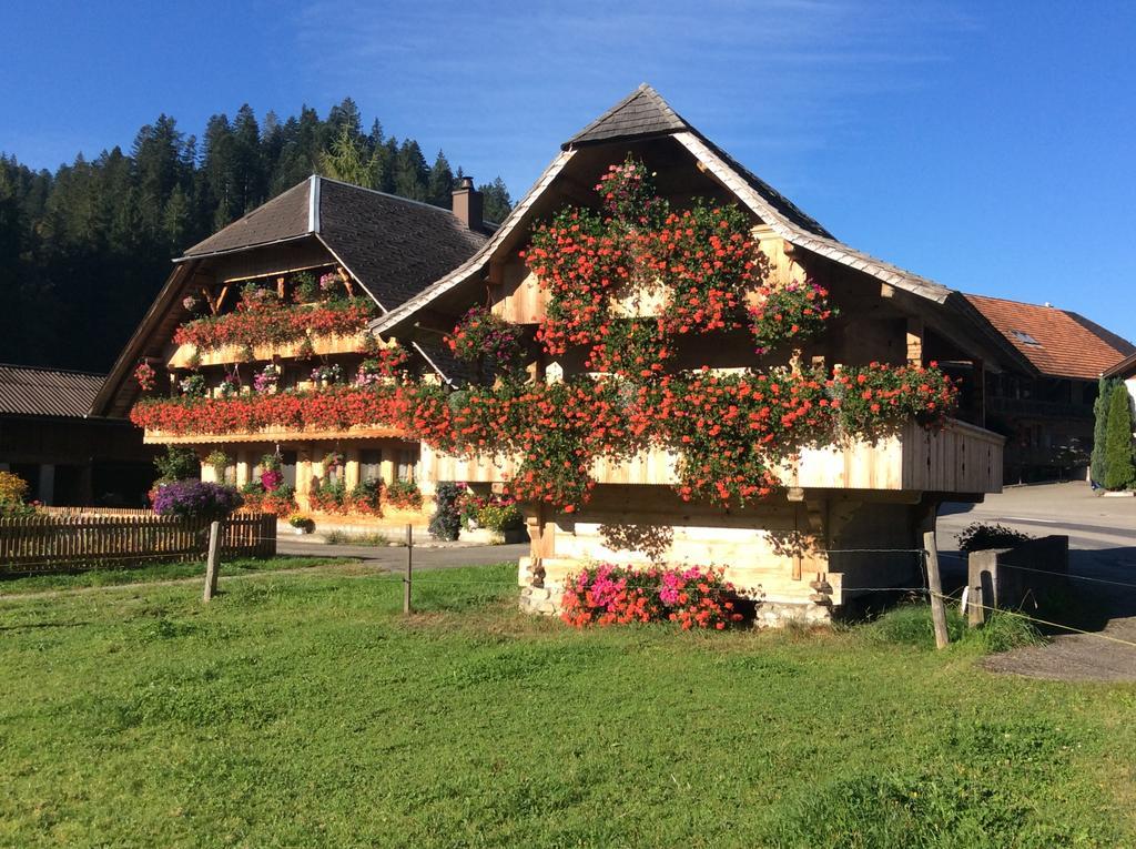 Emme Lodge Langnau Kültér fotó