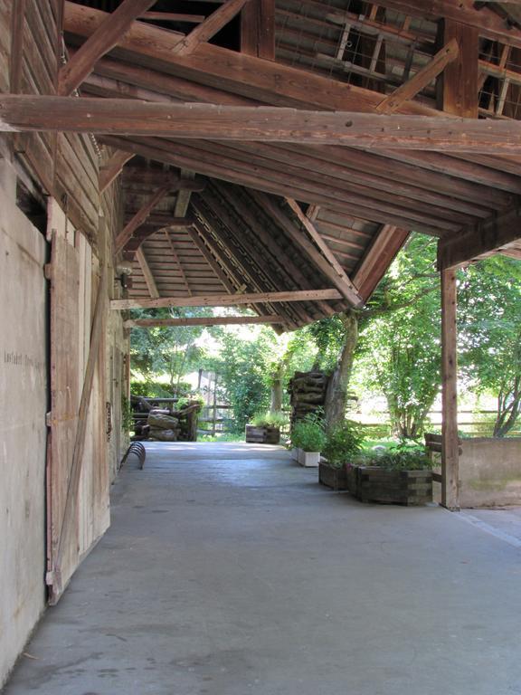 Emme Lodge Langnau Kültér fotó